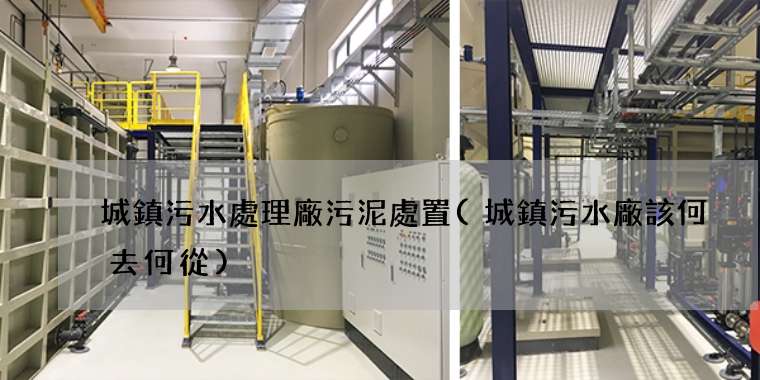 城鎮污水處理廠污泥處置(城鎮污水廠該何去何從)